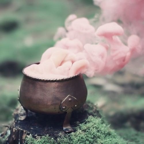 my.enchanted.life
