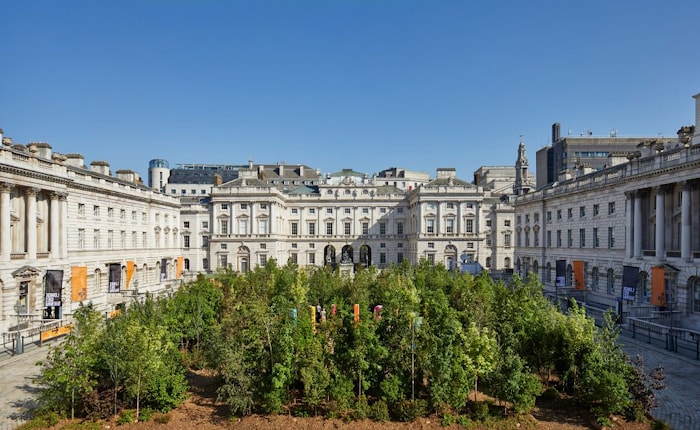 Британец Es Devlin высадил 400 деревьев во дворе исторического Сомерсет-хауса в рамках Лондонской биеннале дизайна. Фото: deezen