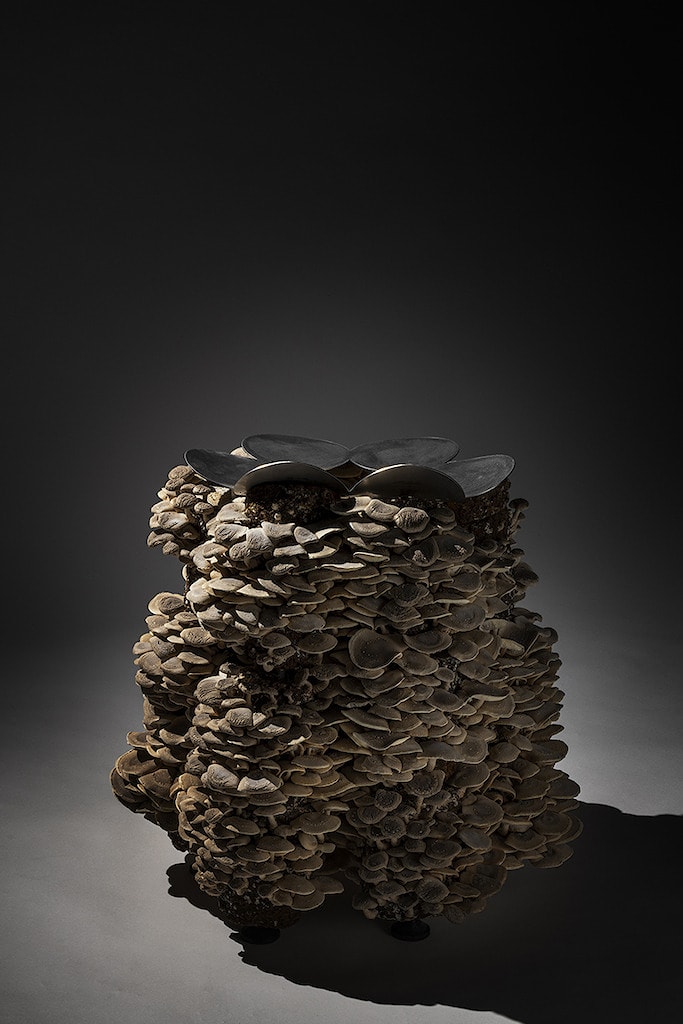 Fungi Stool из нержавеющей стали, дерева и грибов (Satoshi Itasaka). Фото: designboom